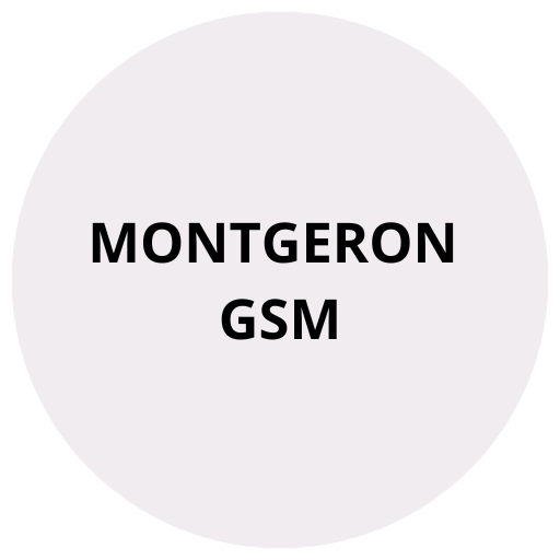 Montgeron GSM